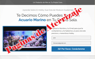 El Consultor Digital - Paginas de Aterrizaje